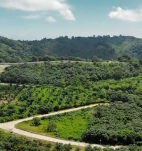 IMPORTANCIA DE LA EDUCACIÓN AMBIENTAL EN EL SECTOR INMOBILIARIO