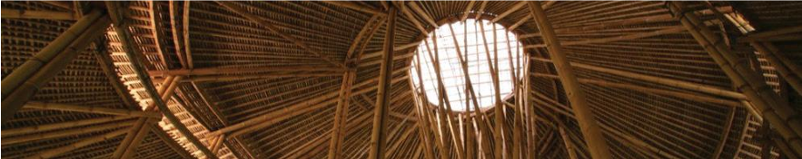 Aplicación de biofilia en el diseño arquitectónico