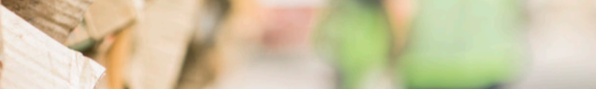 Carboncer-true-certificacion